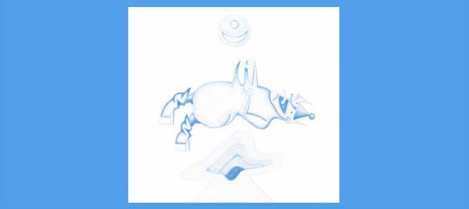 Ape In Pink Marble / Devendra Banhart