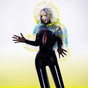 Vulnicura album Björk