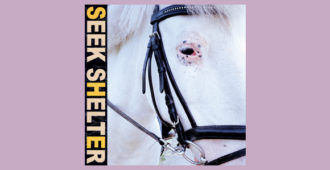 Seek Shelter album Iceage