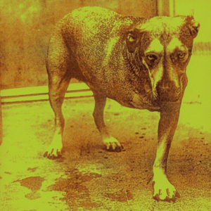 Alice In Chains-album-Alice In Chains