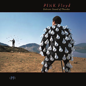 Portada del álbum en vivo Delicate Sound of Thunder de la banda inglesa Pink Floyd del año 1988