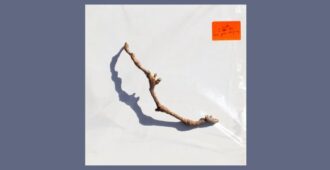 Rama de árbol en bolsa de plástico etiquetada en la portada del álbum de estudio I Inside the Old Year Dying de la artista inglesa PJ Harvey del año 2023