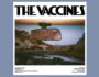 Portada del álbum de estudio Pick-Up Full of Pink Carnations de la banda inglesa The Vaccines del año 2024