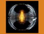 Portada del álbum de estudio Dark Matter de la banda estadounidense Pearl Jam del año 2024