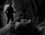 Imagen del video musical de la canción Night or Day de la banda escocesa Franz Ferdinand de su álbum de estudio The Human Fear del año 2025
