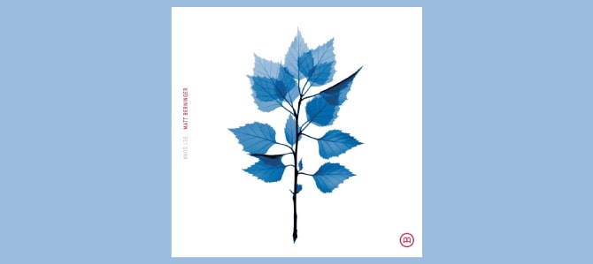 Get Sunk / Matt Berninger