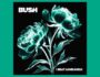 Portada del álbum estudio I Beat Loneliness de la banda inglesa Bush del año 2025