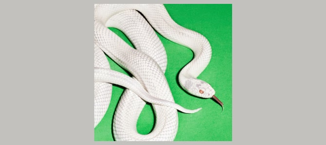 Private Music / Deftones