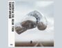 Portada del álbum de estudio Roll With The Punches del músico canadiense Bryan Adams del año 2025