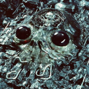 Portada del álbum de estudio Alien Metal de la banda musical australiana King Gizzard & The Lizard Wizard del año 2026